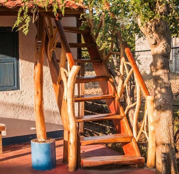 اتاق استاندارد با سرویس بهداشتی مشترک, La Urraca Loca Hostel