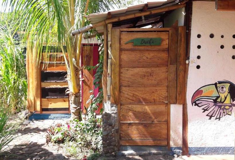 اتاق استاندارد با سرویس بهداشتی مشترک, La Urraca Loca Hostel