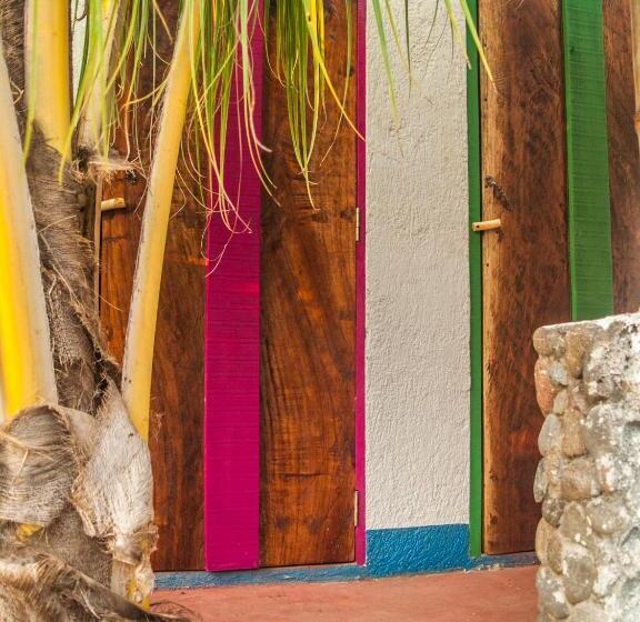 اتاق استاندارد با سرویس بهداشتی مشترک, La Urraca Loca Hostel