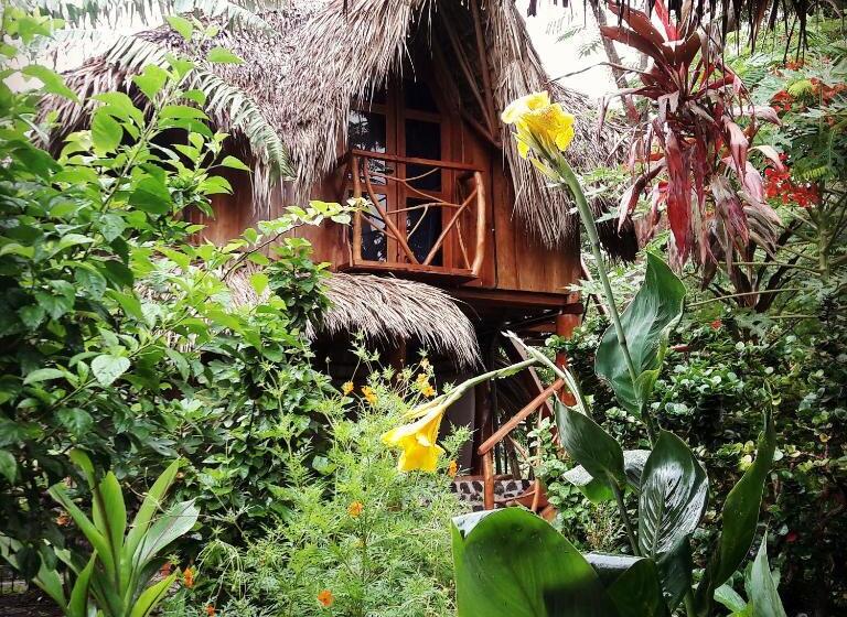 اتاق استاندارد, La Urraca Loca Hostel