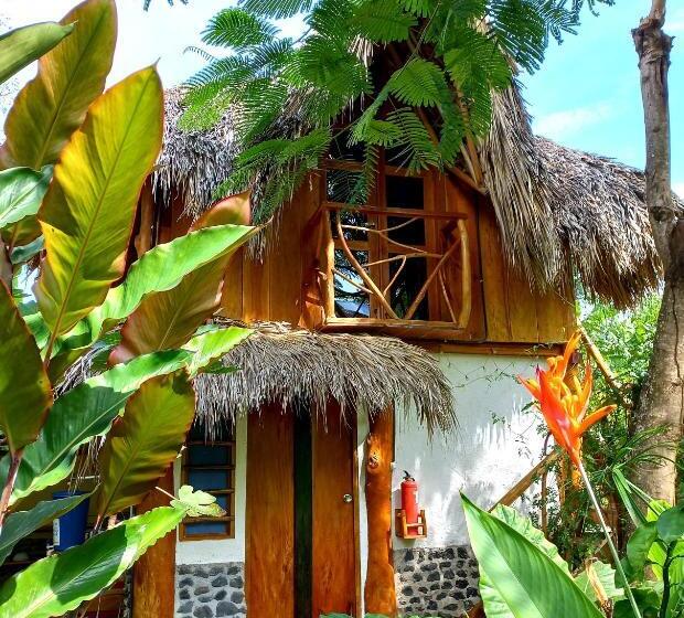 اتاق استاندارد, La Urraca Loca Hostel