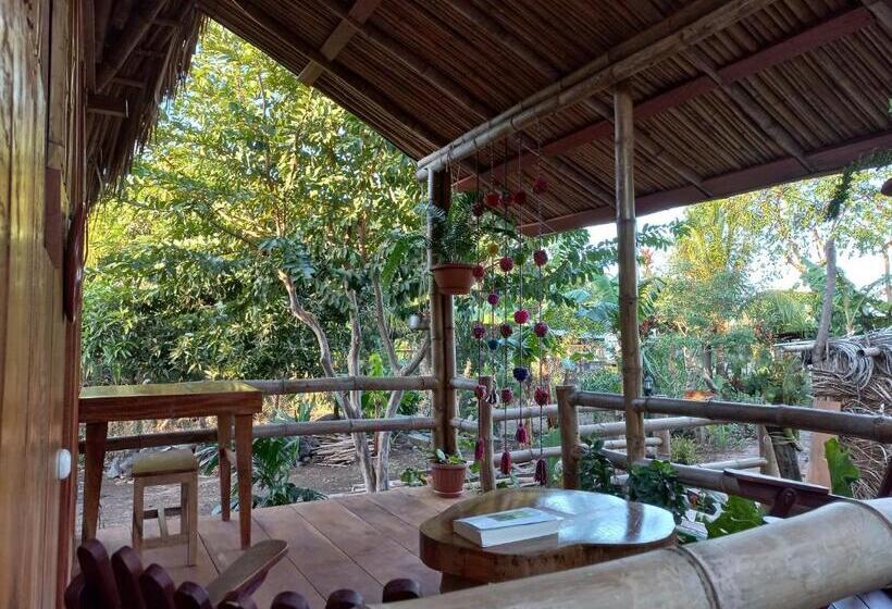 بانگلوی استاندارد, La Urraca Loca Hostel