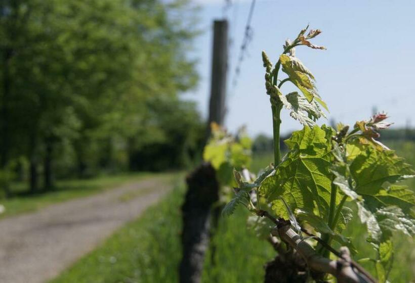 Номер Стандарт, Domaine Maison Dodo