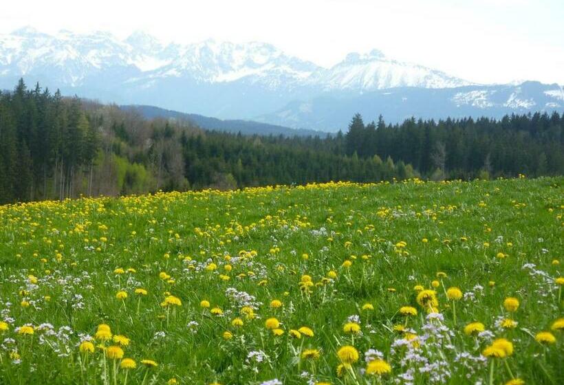 Номер Стандарт, Pension Mittelallgäu