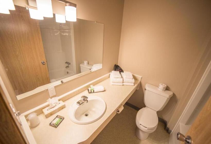 اتاق استاندارد, Bedrock Motel