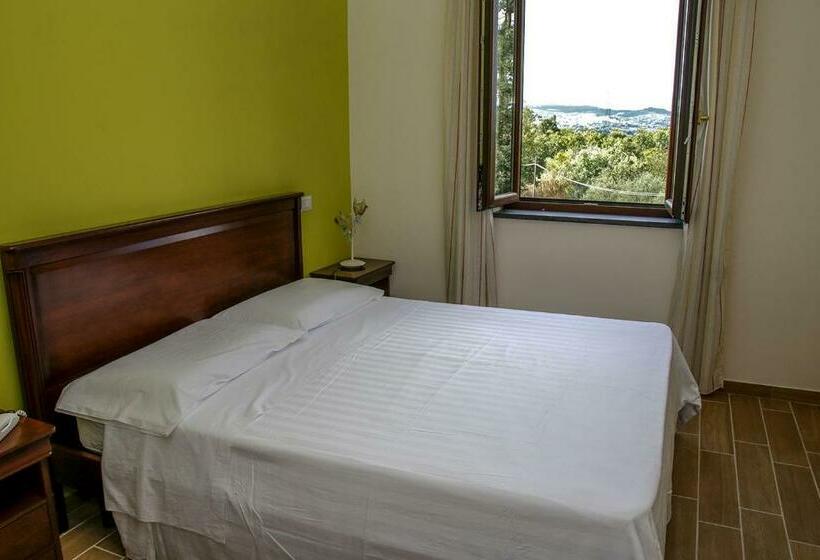 Номер Стандарт, Tenuta Cerreto
