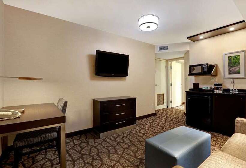 キングサイズベッドのスイートルーム, Embassy Suites By Hilton Niagara Falls Fallsview