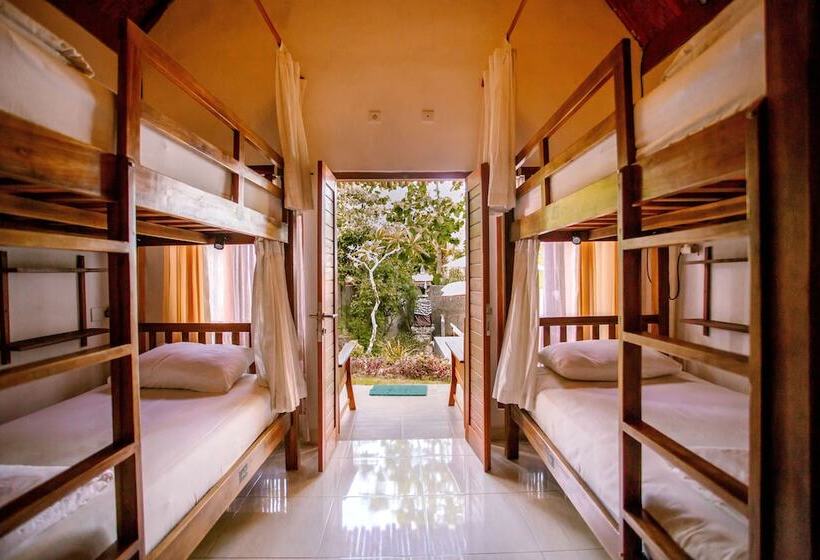 공동 객실, Nuansa Penida Hostel
