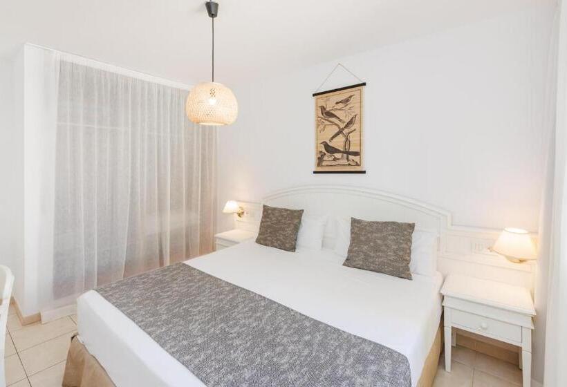 Quarto Estandar, O7 Aloe Corralejo
