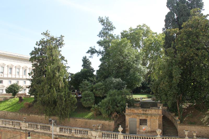 חדר סטנדרט, Fiori