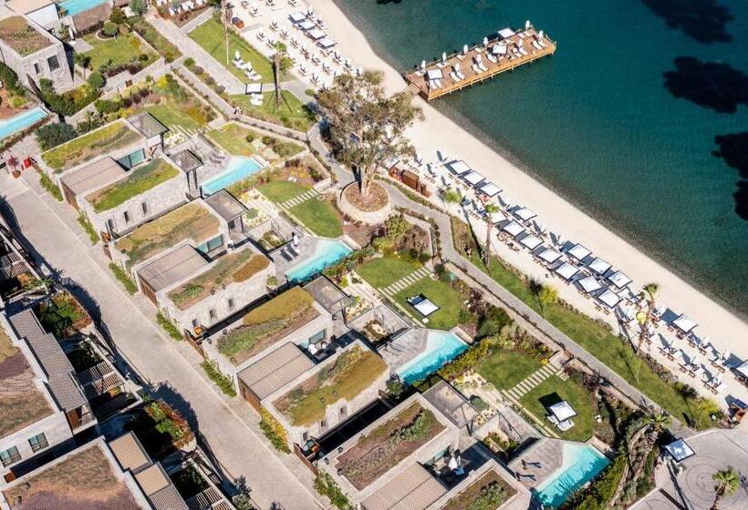 Вилла с 1 спальней и бассейном, Kaya Palazzo Resort & Residences Le Chic Bodrum