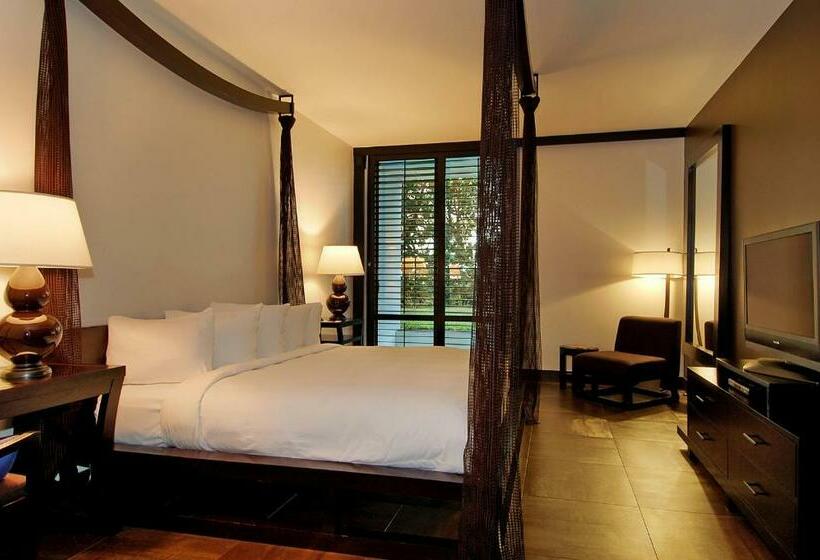 带大床的标准间, Tideline Palm Beach Ocean Resort And Spa