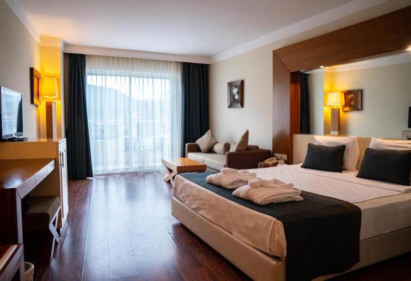 Номер Стандарт Вид на Бассейн, Meder Resort Hotel   Ultra All Inclusive