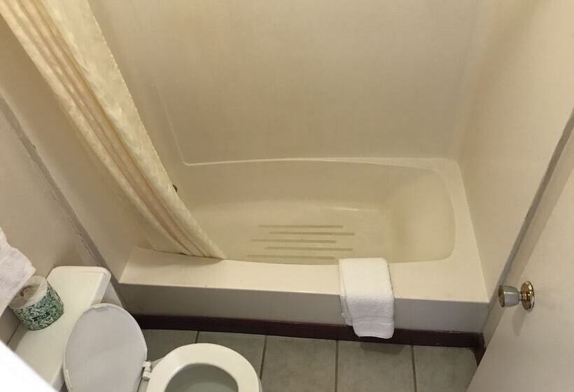 Номер Стандарт 2 Двуспальные Кровати, Parkview Motel