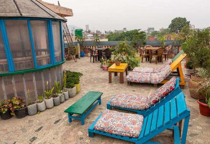 اتاق استاندارد با سرویس بهداشتی مشترک, Pomelo House Inn