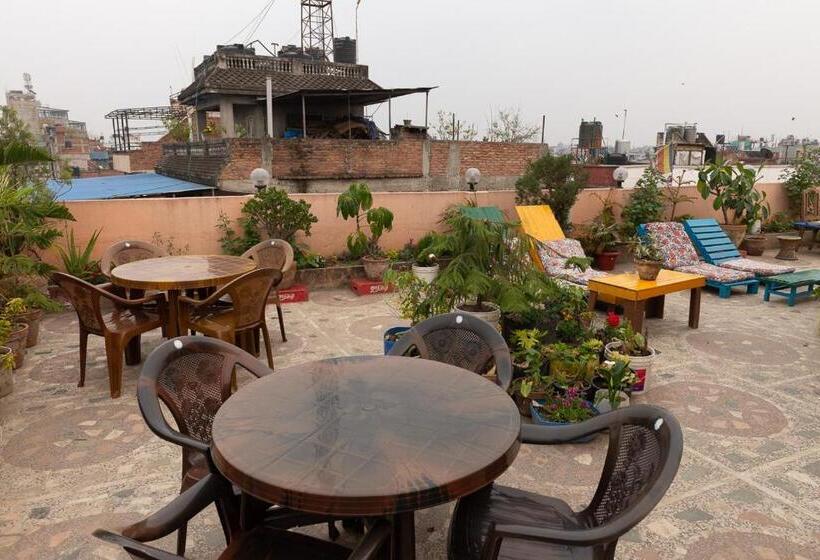 اتاق استاندارد با سرویس بهداشتی مشترک, Pomelo House Inn