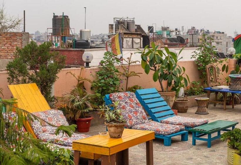 اتاق استاندارد با سرویس بهداشتی مشترک, Pomelo House Inn