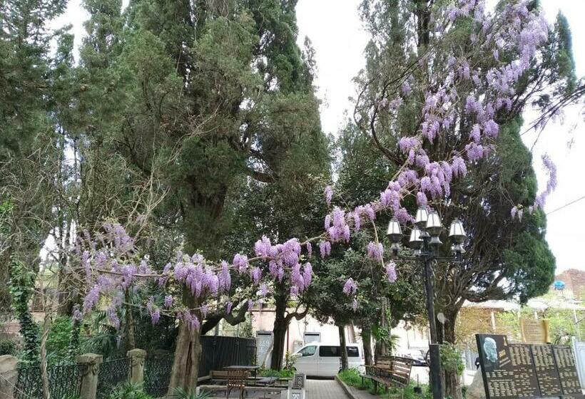 اتاق اکونومی, Downtown Guest House