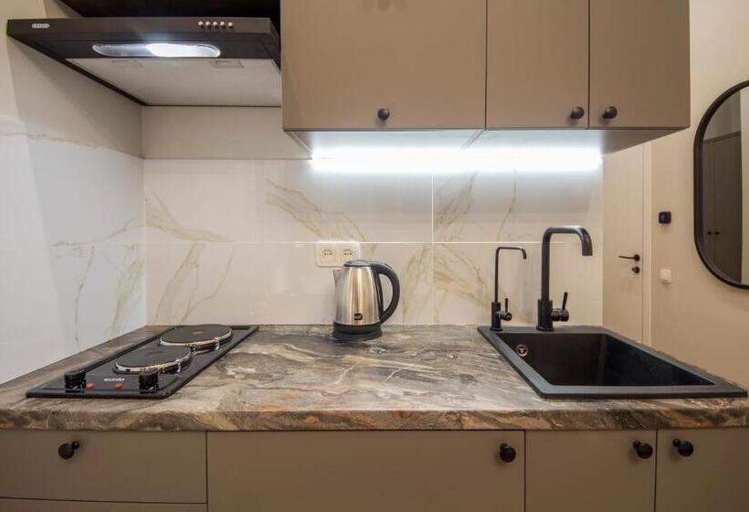 استودیوی استاندارد, Apartments On Antonovycha
