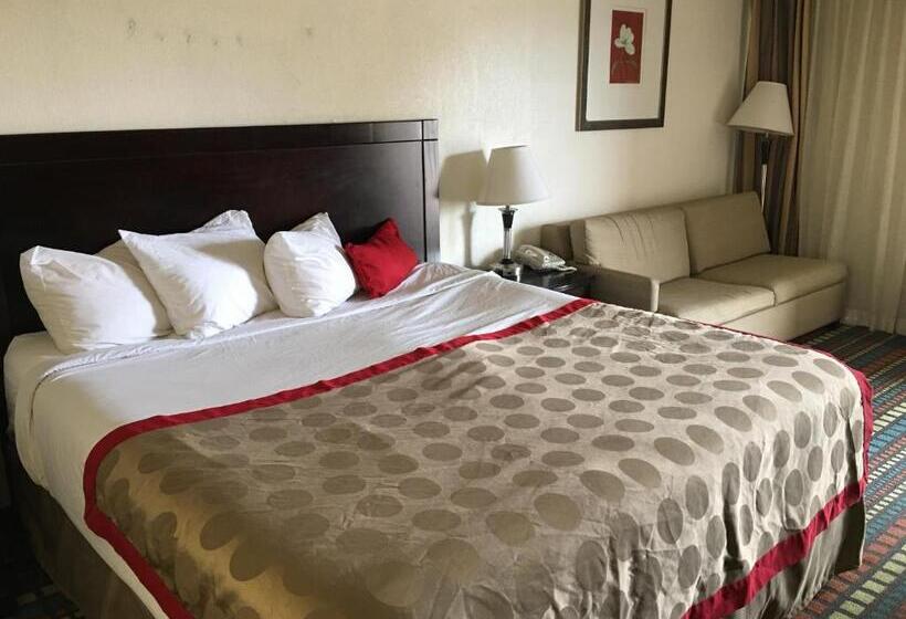Номер Стандарт Кровать Кинг Адаптированный для Инвалидов, Budget Inn Laramie