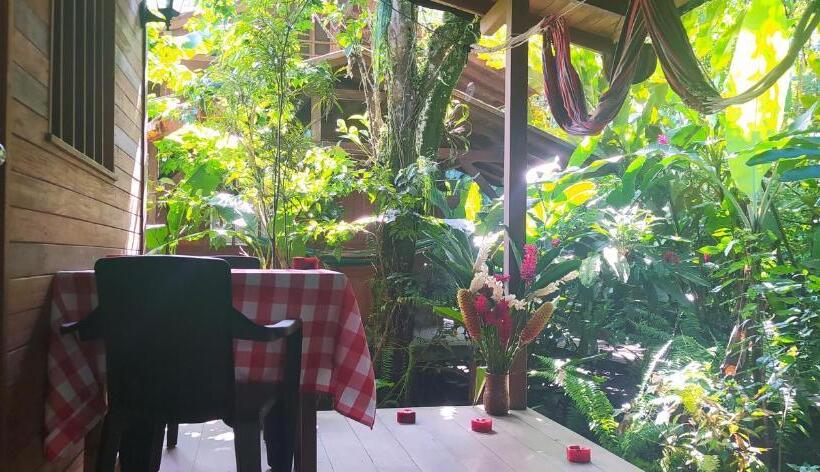 Bungalow Standard Vista Jardim, La Tarima Del Colibri Ecolodge