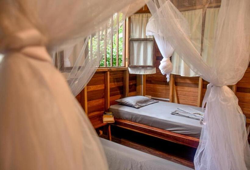 Bungalow Standard Vista Jardim, La Tarima Del Colibri Ecolodge