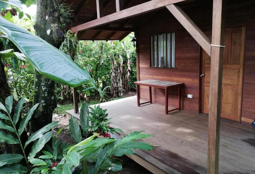 Quarto Quádruplo Estandar, La Tarima Del Colibri Ecolodge