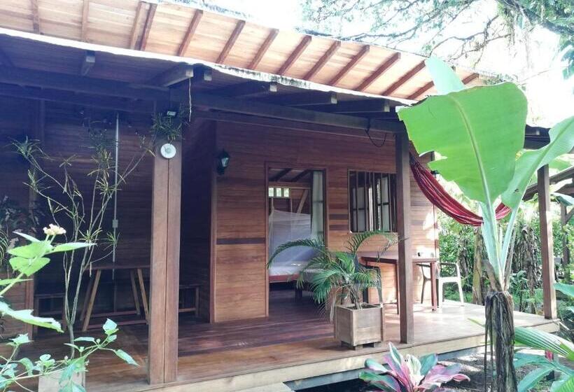 Bungalow Standard Vista Jardim, La Tarima Del Colibri Ecolodge