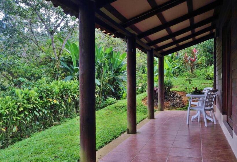 ویلای 1 خوابه, Argovia Finca Resort