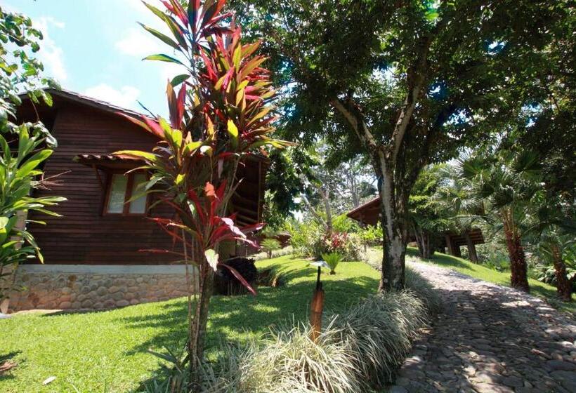 سوییت, Argovia Finca Resort