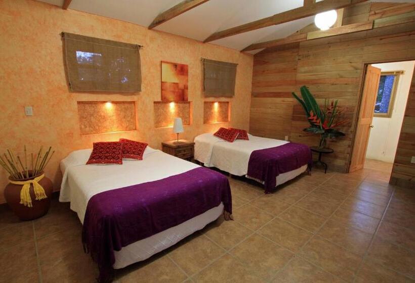 سوییت, Argovia Finca Resort