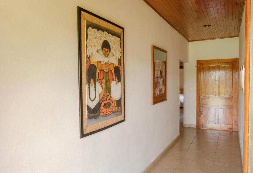 اتاق استاندارد, Argovia Finca Resort