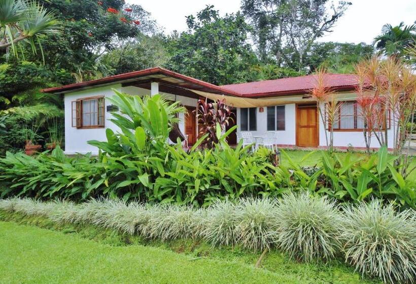 اتاق استاندارد, Argovia Finca Resort