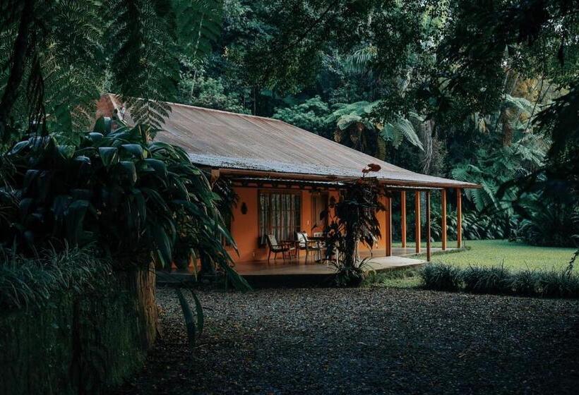 کابین, Argovia Finca Resort