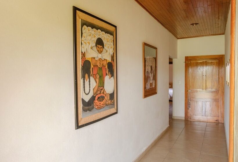 اتاق استاندارد, Argovia Finca Resort