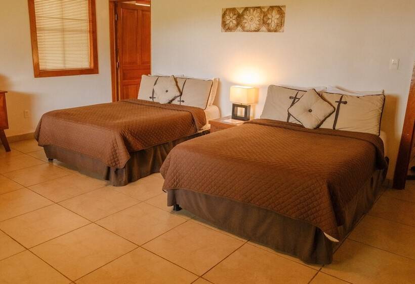 اتاق استاندارد, Argovia Finca Resort