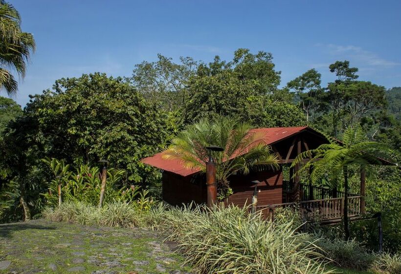 کابین, Argovia Finca Resort