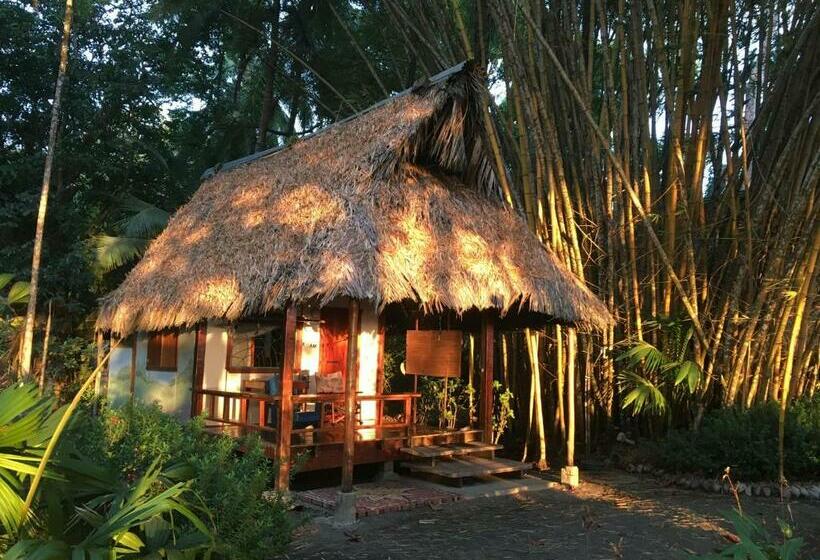 Бунгало Стандарт, Cabinas Los Cocos