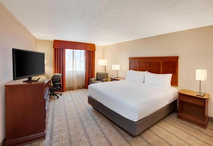 스탠다드 룸 킹사이즈 침대, Holiday Inn Express Dallas Medical Market Center