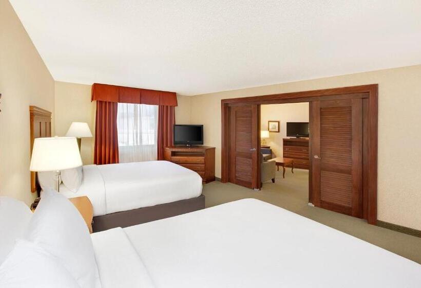 스위트, Holiday Inn Express Dallas Medical Market Center