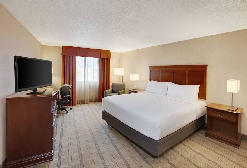 Люкс, Holiday Inn Express Dallas Medical Market Center