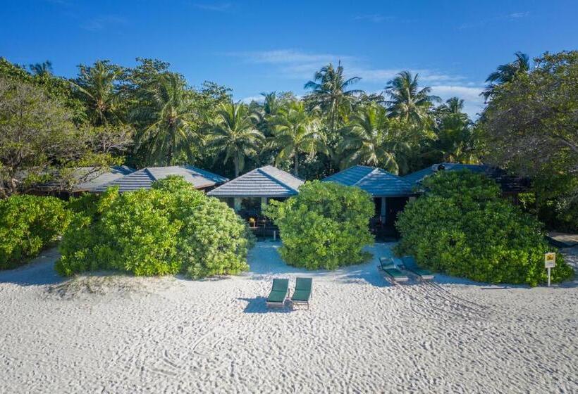 ویلای 1 خوابه, Royal Island Resort & Spa