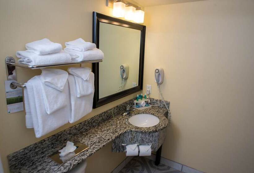 标准间, Holiday Inn Express & Suites Cocoa, An Ihg