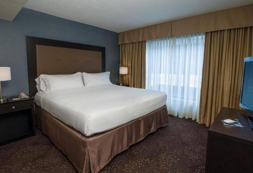 Люкс Кровать Кинг, Holiday Inn Express & Suites Buffalo Airport, An Ihg