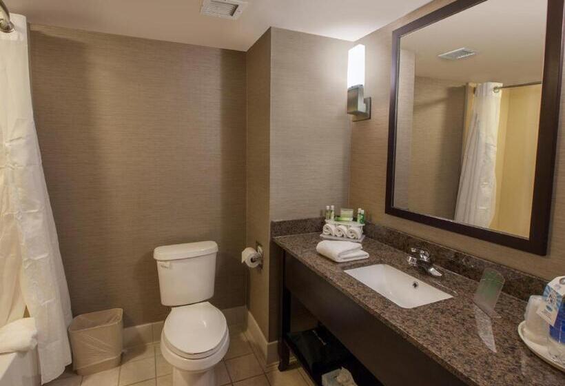 Номер Стандарт Кровать Кинг Адаптированный для Инвалидов, Holiday Inn Express & Suites Buffalo Airport, An Ihg