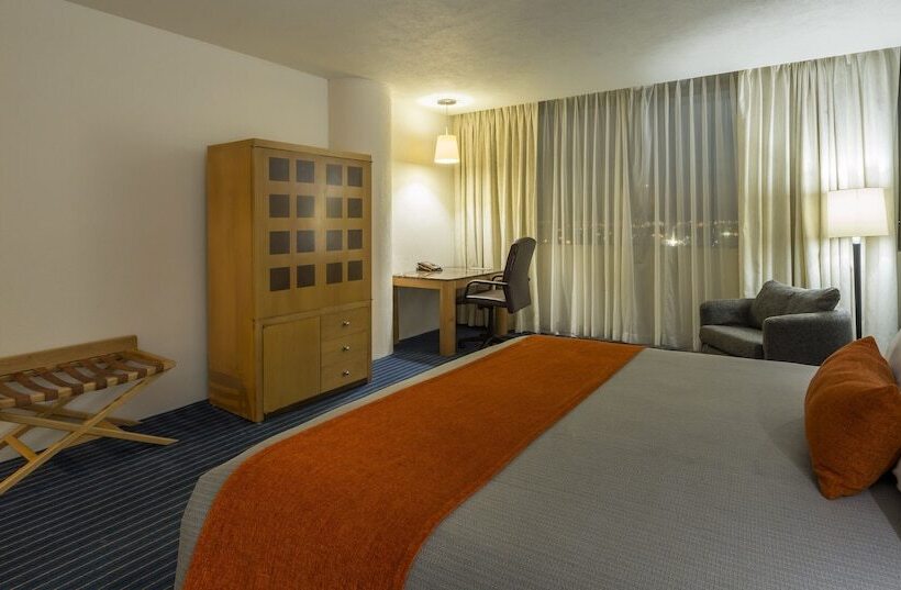 带大床的豪华间, Real Inn Nuevo Laredo