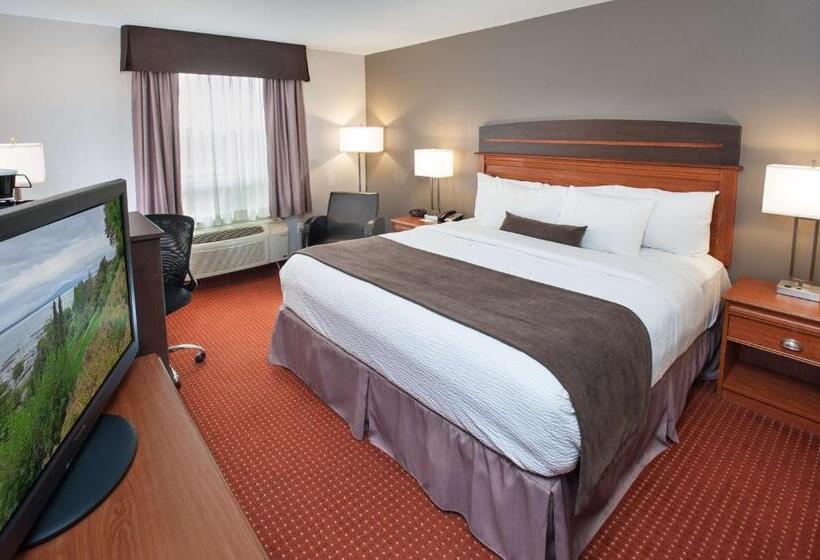 キングサイズベッドのスタンダードルーム, Best Western Plus Moncton