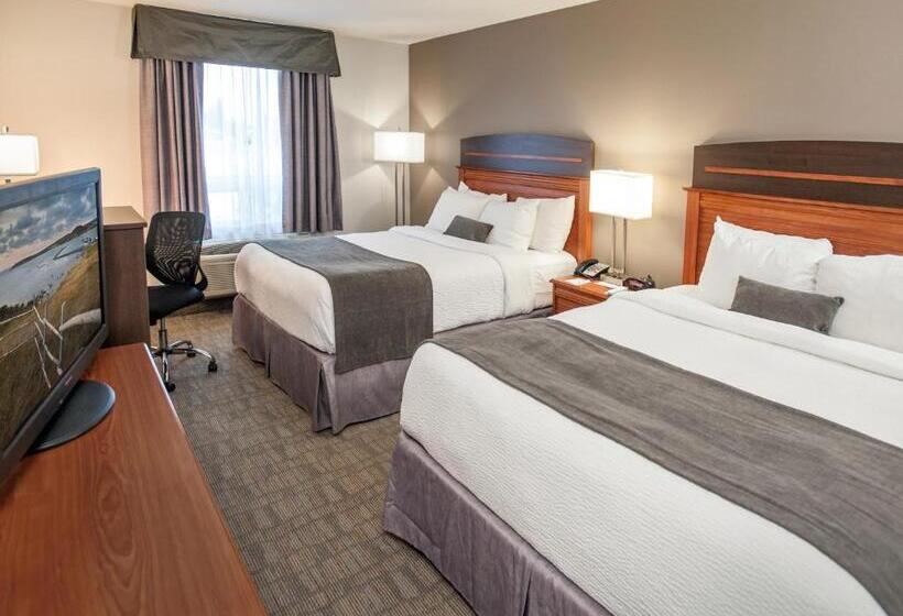 スタンダードルーム, Best Western Plus Moncton