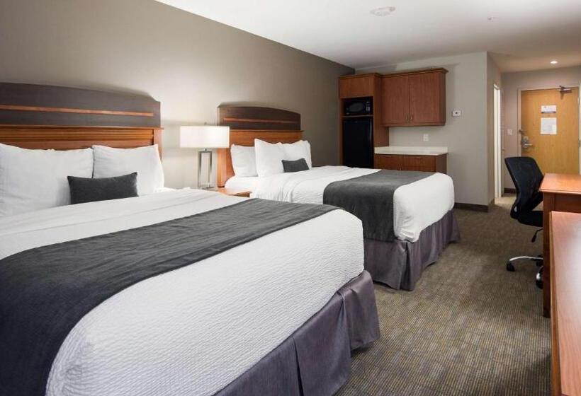 デラックスルーム, Best Western Plus Moncton