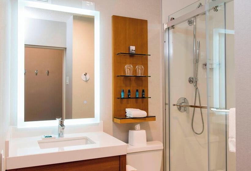Номер Стандарт 2 Двуспальные Кровати, Sonesta Hotel Grand Rapids Airport